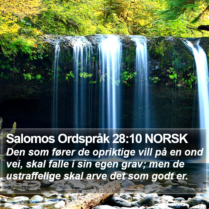 Salomos Ordspråk 28:10 NORSK Bible Study