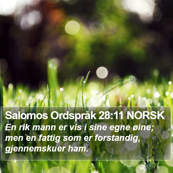 Salomos Ordspråk 28:11 NORSK Bible Study