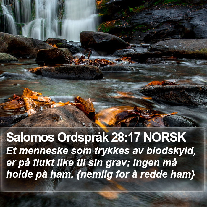 Salomos Ordspråk 28:17 NORSK Bible Study