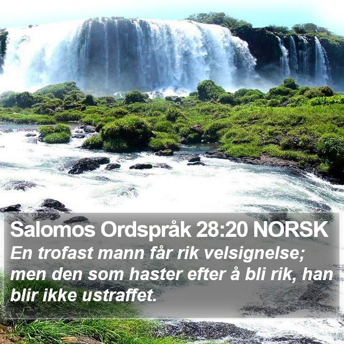 Salomos Ordspråk 28:20 NORSK Bible Study