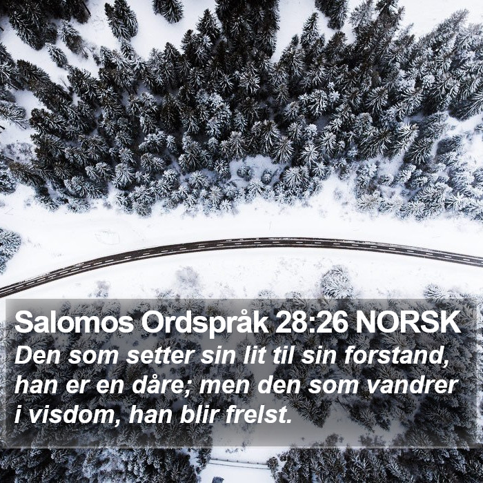 Salomos Ordspråk 28:26 NORSK Bible Study