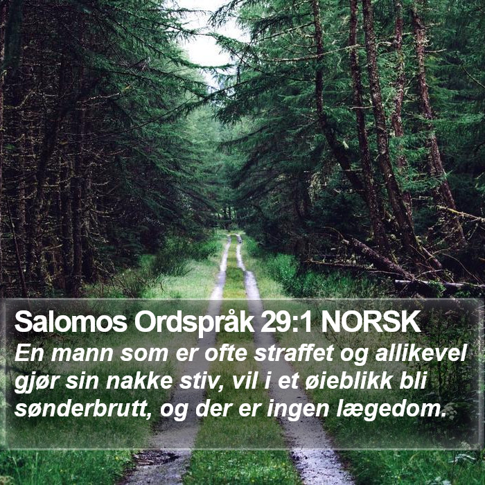 Salomos Ordspråk 29:1 NORSK Bible Study