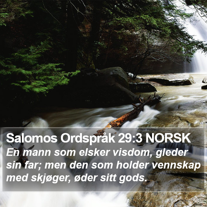 Salomos Ordspråk 29:3 NORSK Bible Study