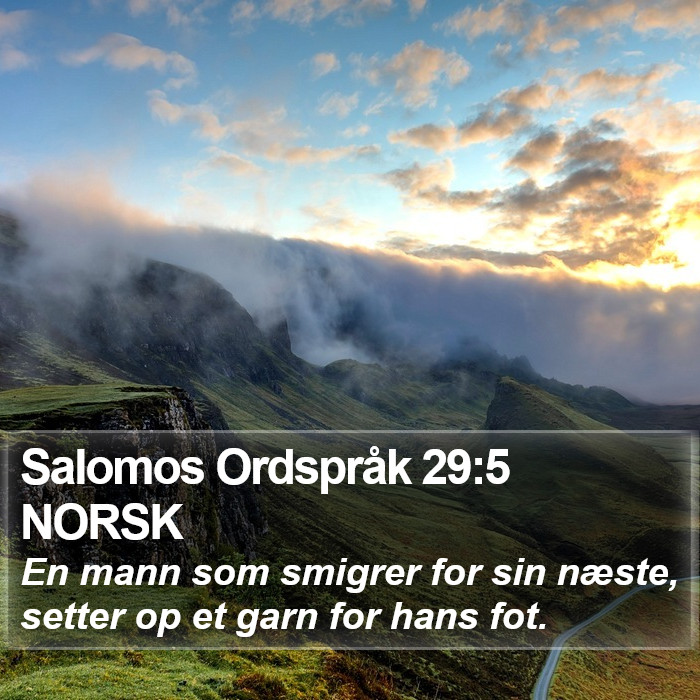 Salomos Ordspråk 29:5 NORSK Bible Study