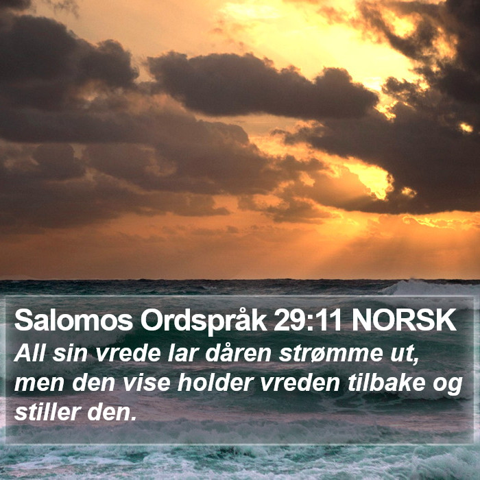 Salomos Ordspråk 29:11 NORSK Bible Study