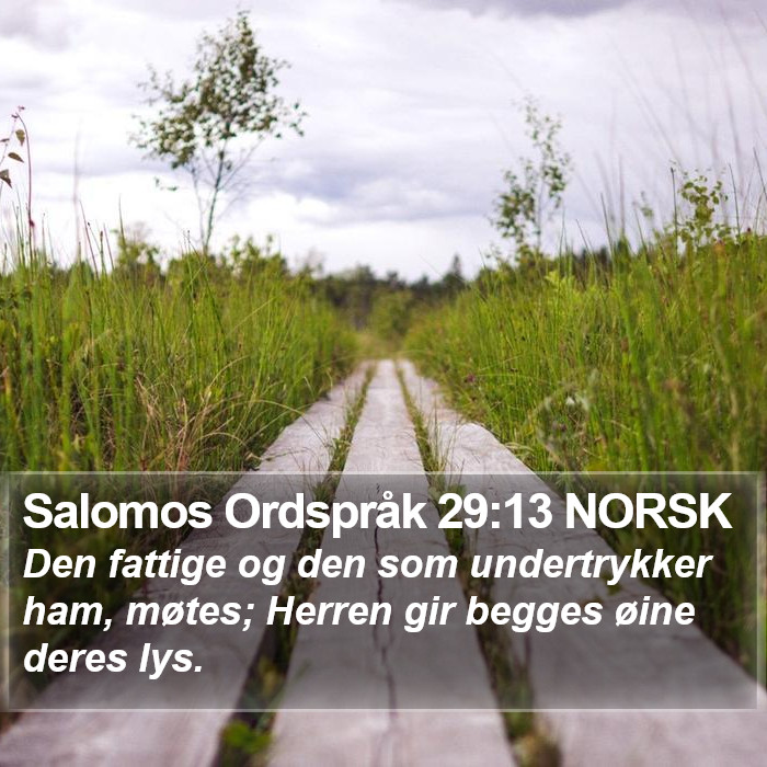 Salomos Ordspråk 29:13 NORSK Bible Study