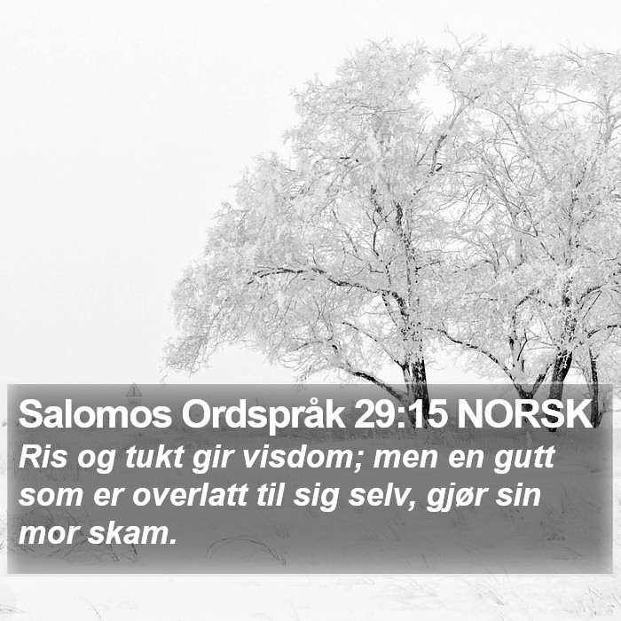 Salomos Ordspråk 29:15 NORSK Bible Study