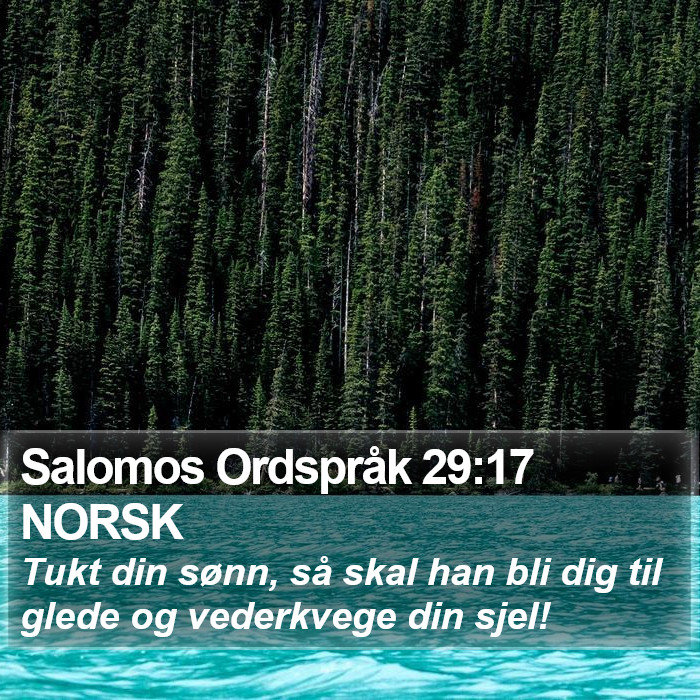 Salomos Ordspråk 29:17 NORSK Bible Study