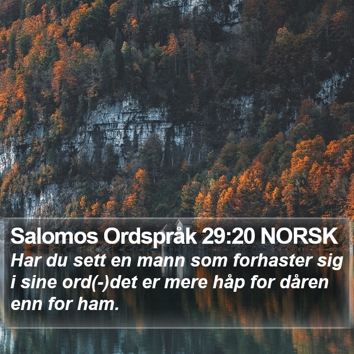 Salomos Ordspråk 29:20 NORSK Bible Study