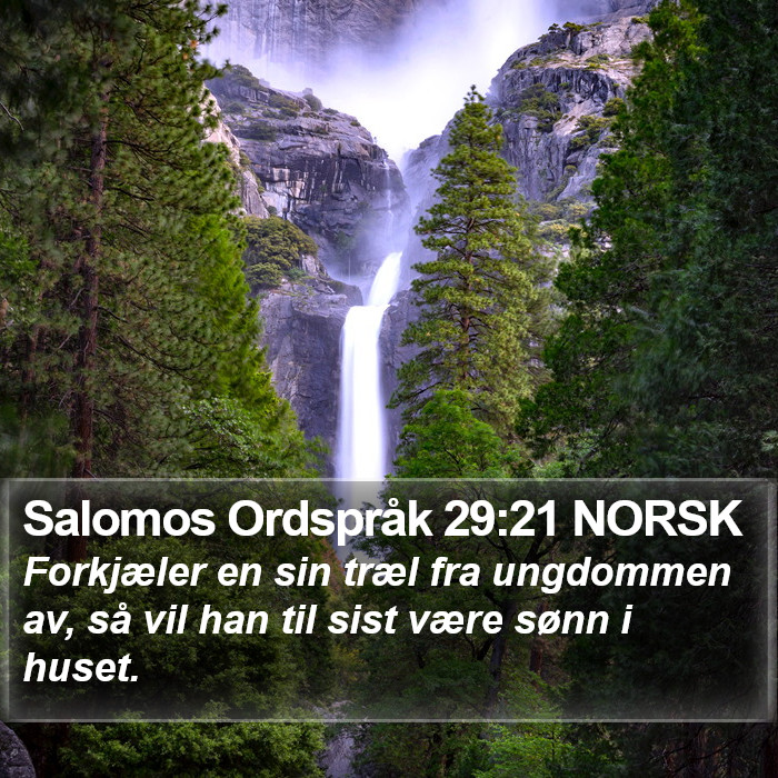 Salomos Ordspråk 29:21 NORSK Bible Study