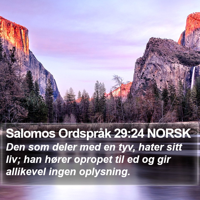 Salomos Ordspråk 29:24 NORSK Bible Study