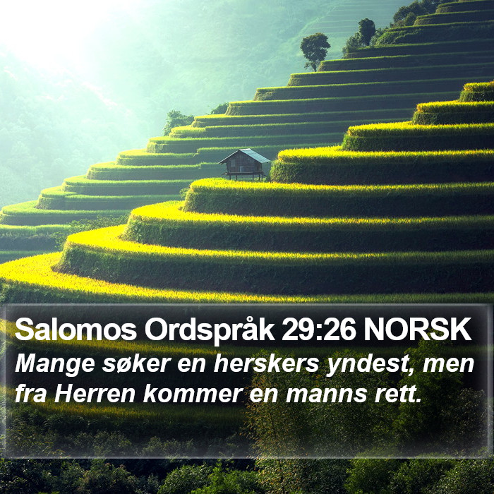 Salomos Ordspråk 29:26 NORSK Bible Study