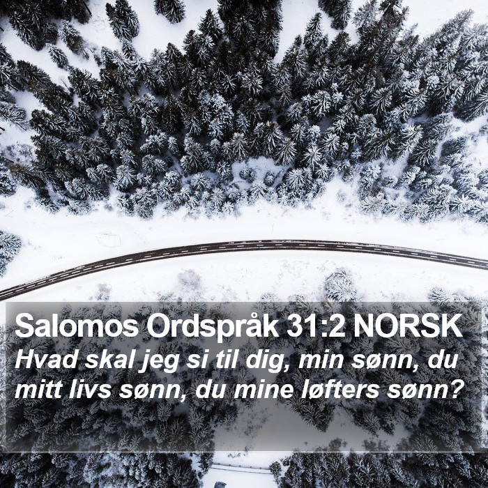 Salomos Ordspråk 31:2 NORSK Bible Study