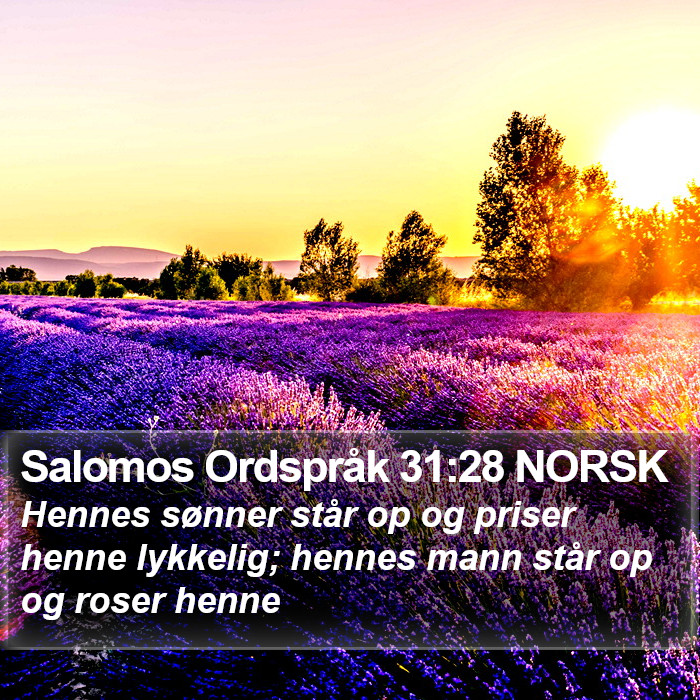 Salomos Ordspråk 31:28 NORSK Bible Study
