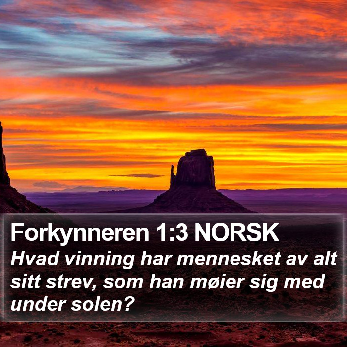 Forkynneren 1:3 NORSK Bible Study