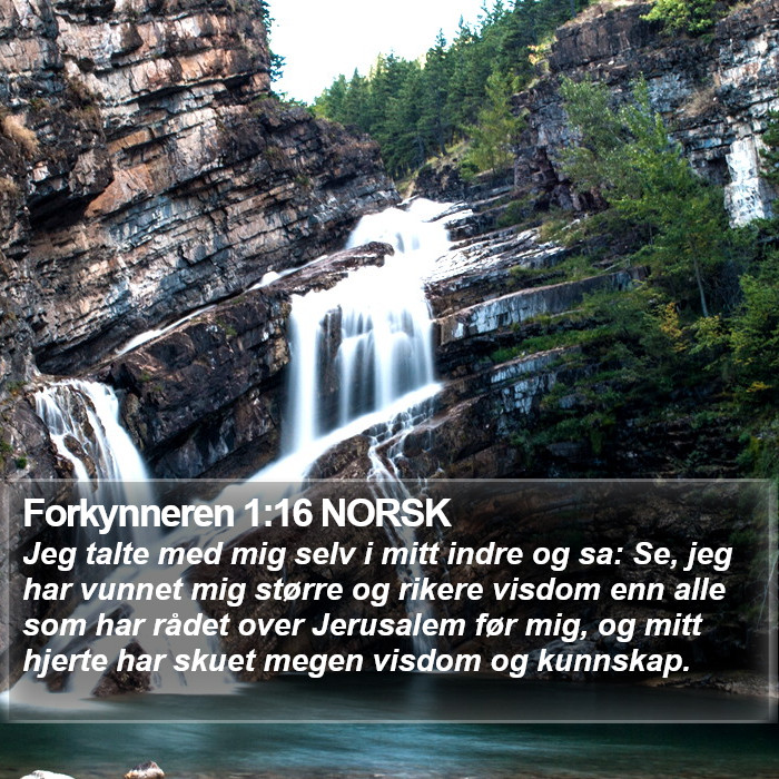 Forkynneren 1:16 NORSK Bible Study