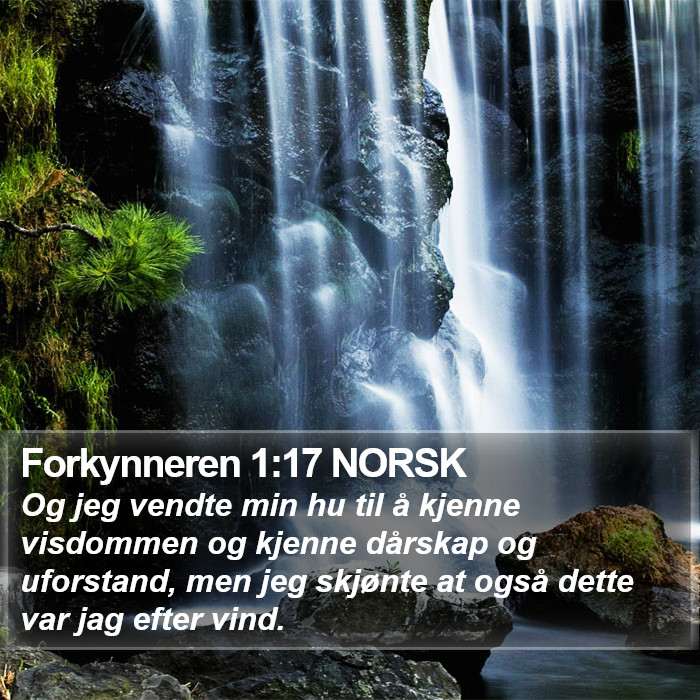 Forkynneren 1:17 NORSK Bible Study