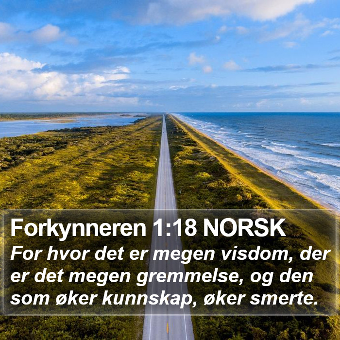 Forkynneren 1:18 NORSK Bible Study