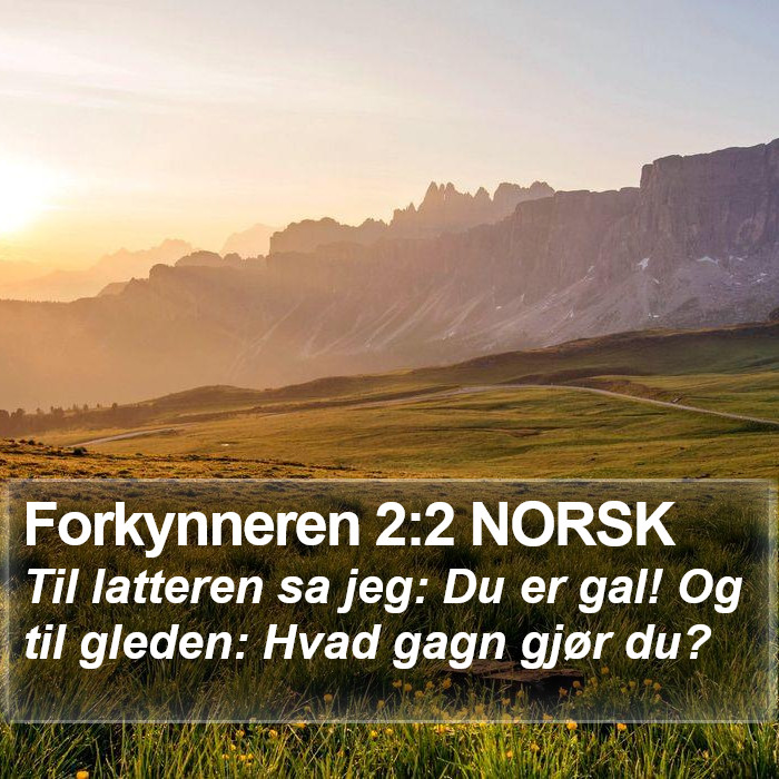 Forkynneren 2:2 NORSK Bible Study