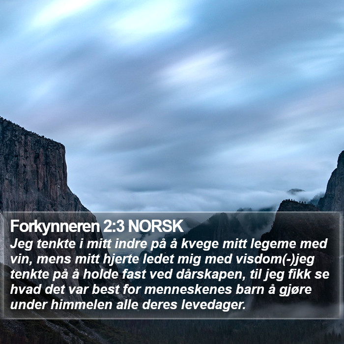 Forkynneren 2:3 NORSK Bible Study