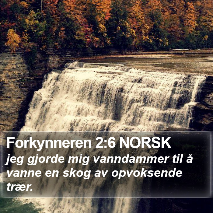 Forkynneren 2:6 NORSK Bible Study