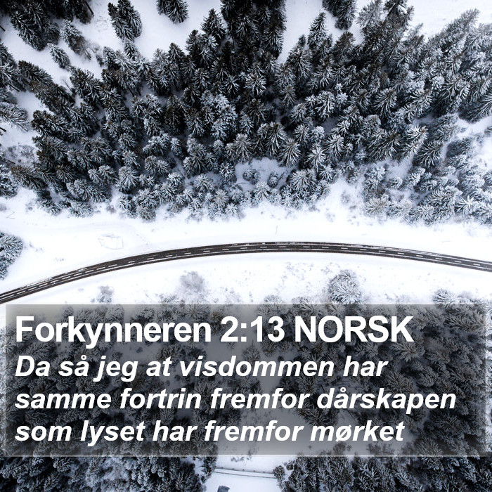 Forkynneren 2:13 NORSK Bible Study