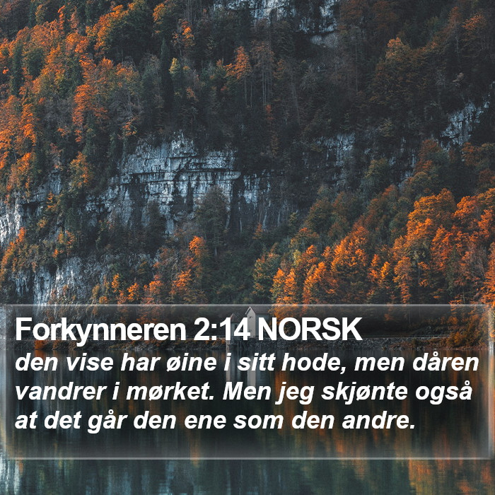 Forkynneren 2:14 NORSK Bible Study