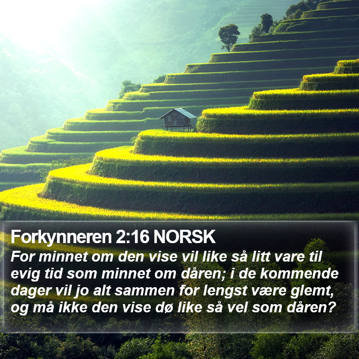 Forkynneren 2:16 NORSK Bible Study