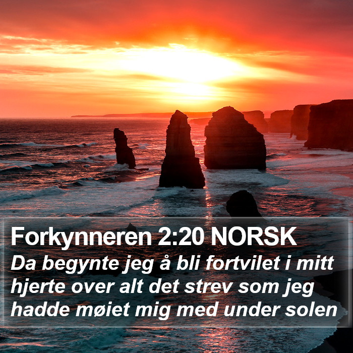 Forkynneren 2:20 NORSK Bible Study