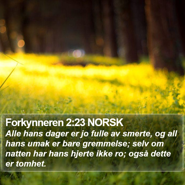 Forkynneren 2:23 NORSK Bible Study