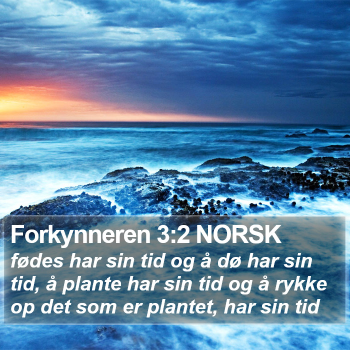 Forkynneren 3:2 NORSK Bible Study