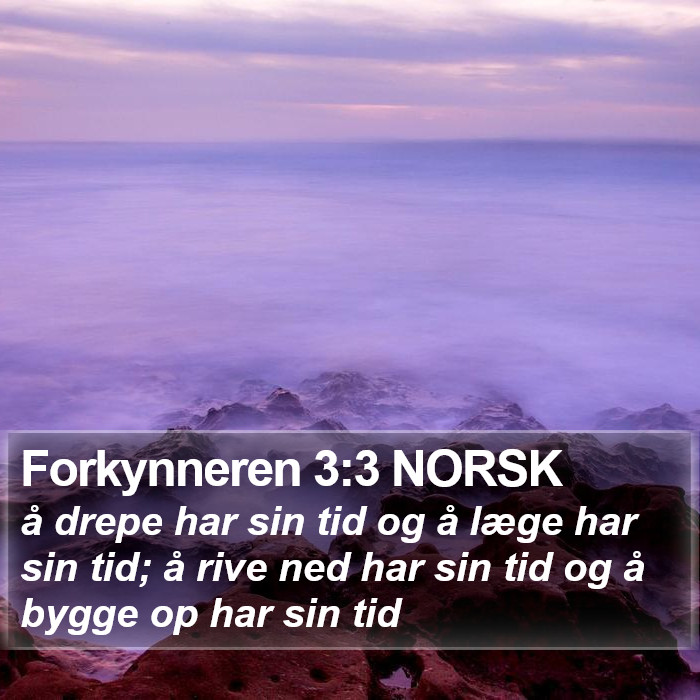 Forkynneren 3:3 NORSK Bible Study
