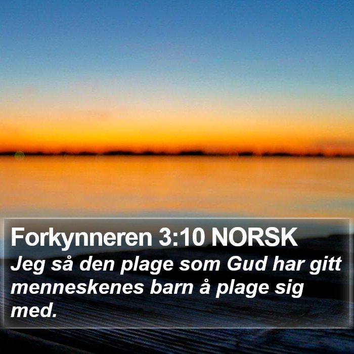Forkynneren 3:10 NORSK Bible Study