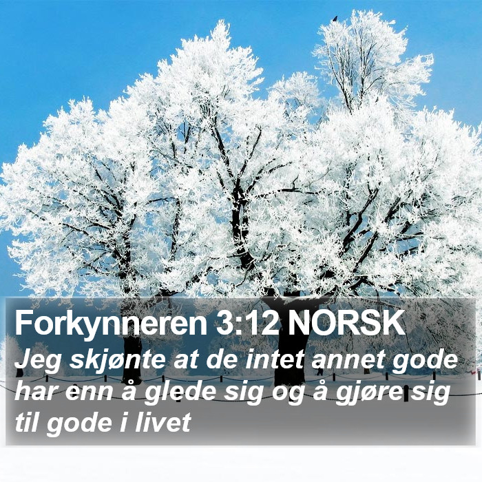 Forkynneren 3:12 NORSK Bible Study