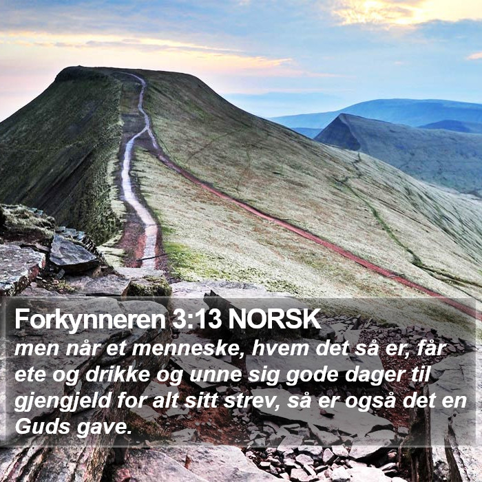 Forkynneren 3:13 NORSK Bible Study