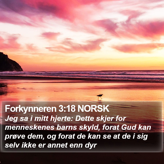 Forkynneren 3:18 NORSK Bible Study