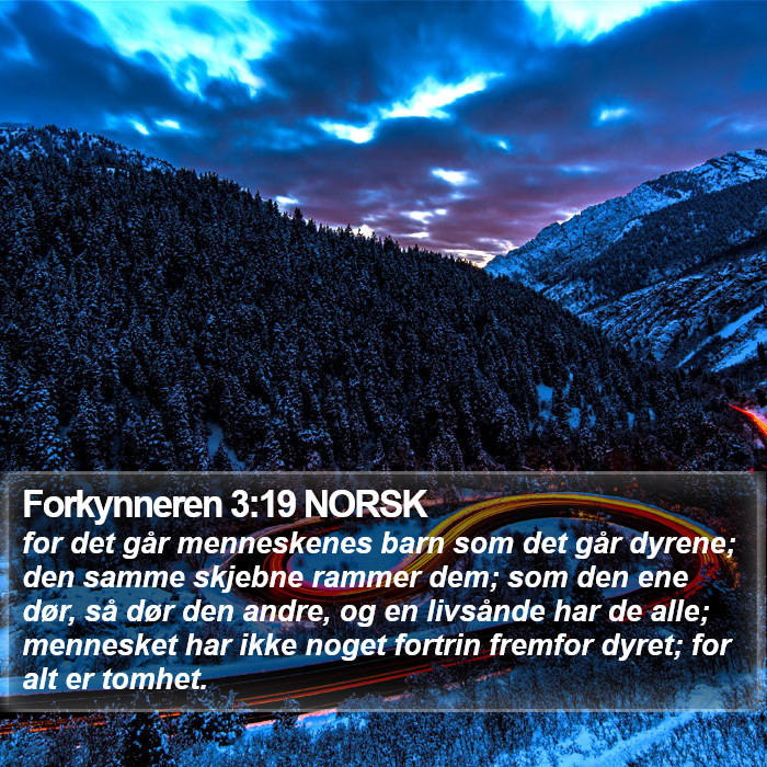 Forkynneren 3:19 NORSK Bible Study