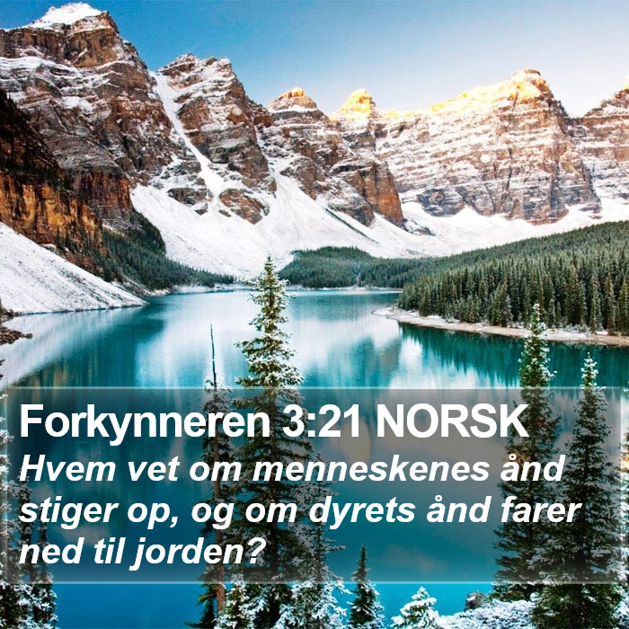 Forkynneren 3:21 NORSK Bible Study