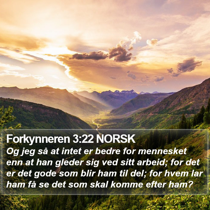 Forkynneren 3:22 NORSK Bible Study