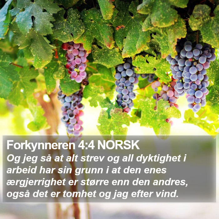 Forkynneren 4:4 NORSK Bible Study