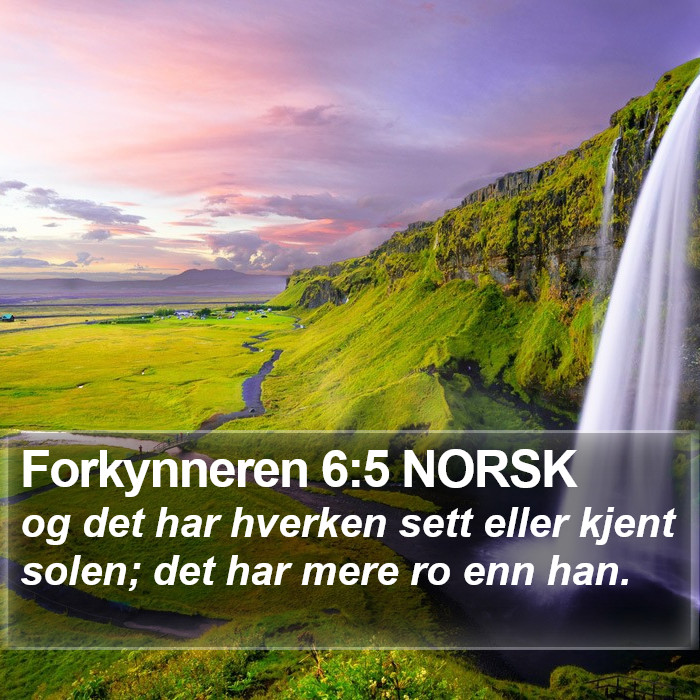 Forkynneren 6:5 NORSK Bible Study