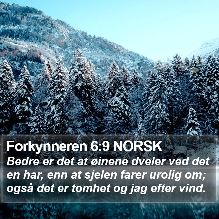 Forkynneren 6:9 NORSK Bible Study