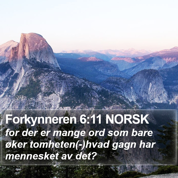 Forkynneren 6:11 NORSK Bible Study