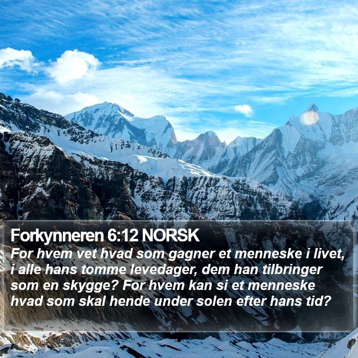 Forkynneren 6:12 NORSK Bible Study