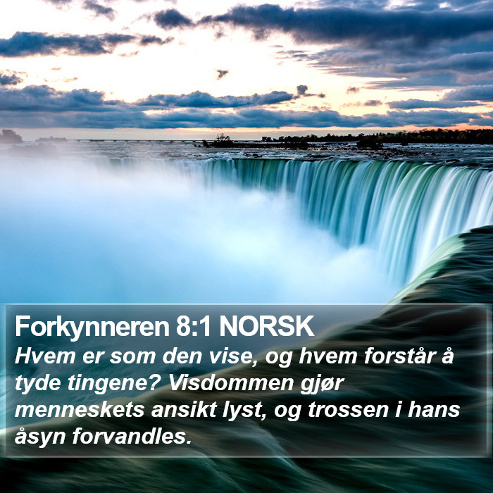 Forkynneren 8:1 NORSK Bible Study