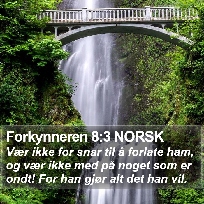 Forkynneren 8:3 NORSK Bible Study