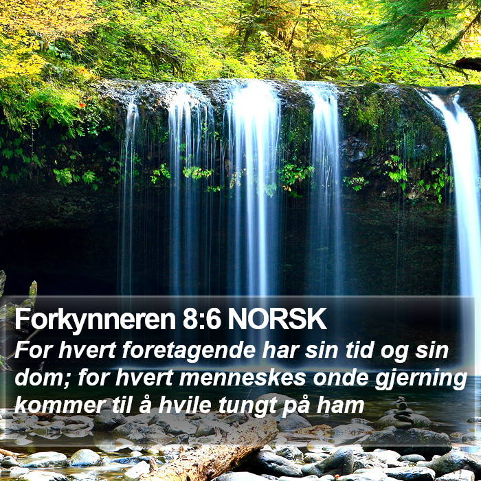 Forkynneren 8:6 NORSK Bible Study