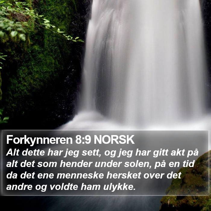 Forkynneren 8:9 NORSK Bible Study