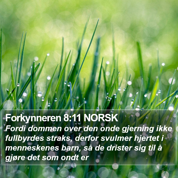 Forkynneren 8:11 NORSK Bible Study