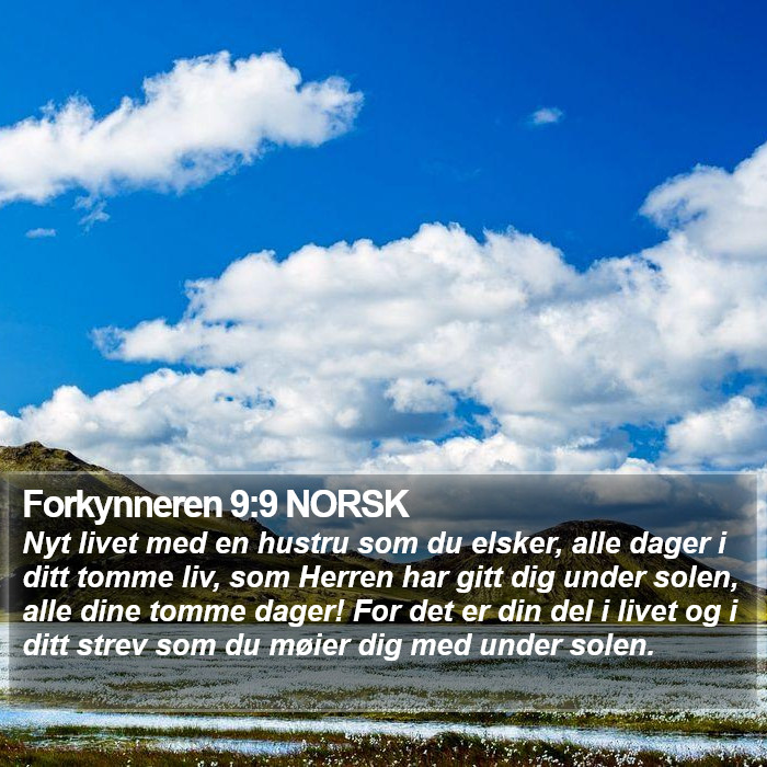 Forkynneren 9:9 NORSK Bible Study